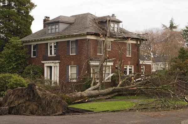 roof storm damage in  Atlanta